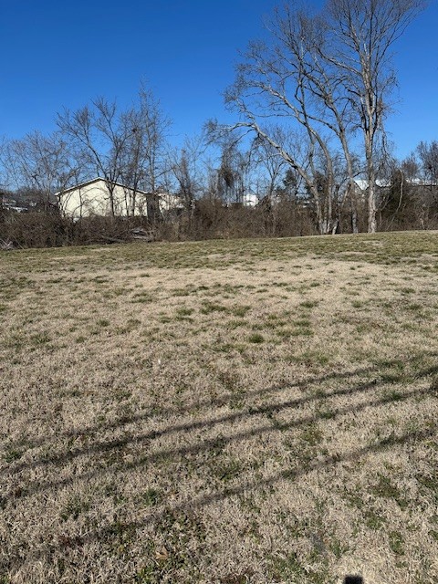 220 Rockland Road Hendersonville, TN 37075 - Photo 2 of 3 a view of road view with large trees
