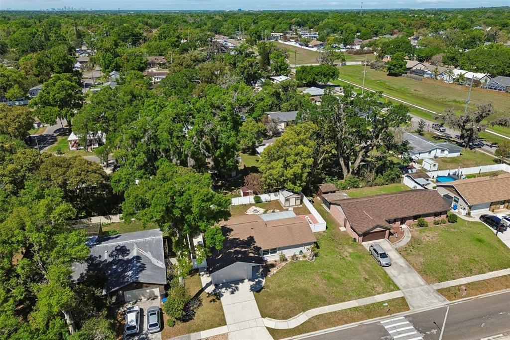 2505 Linden Tree Street Seffner, FL 33584 - Photo 55 of 66