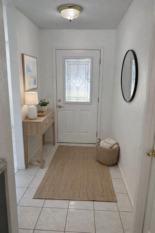 2505 Linden Tree Street Seffner, FL 33584 - Photo 10 of 66