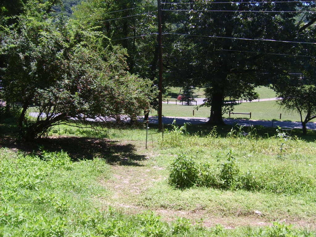 Rockland Road Ronceverte, WV 24970 - Photo 6 of 6 another view