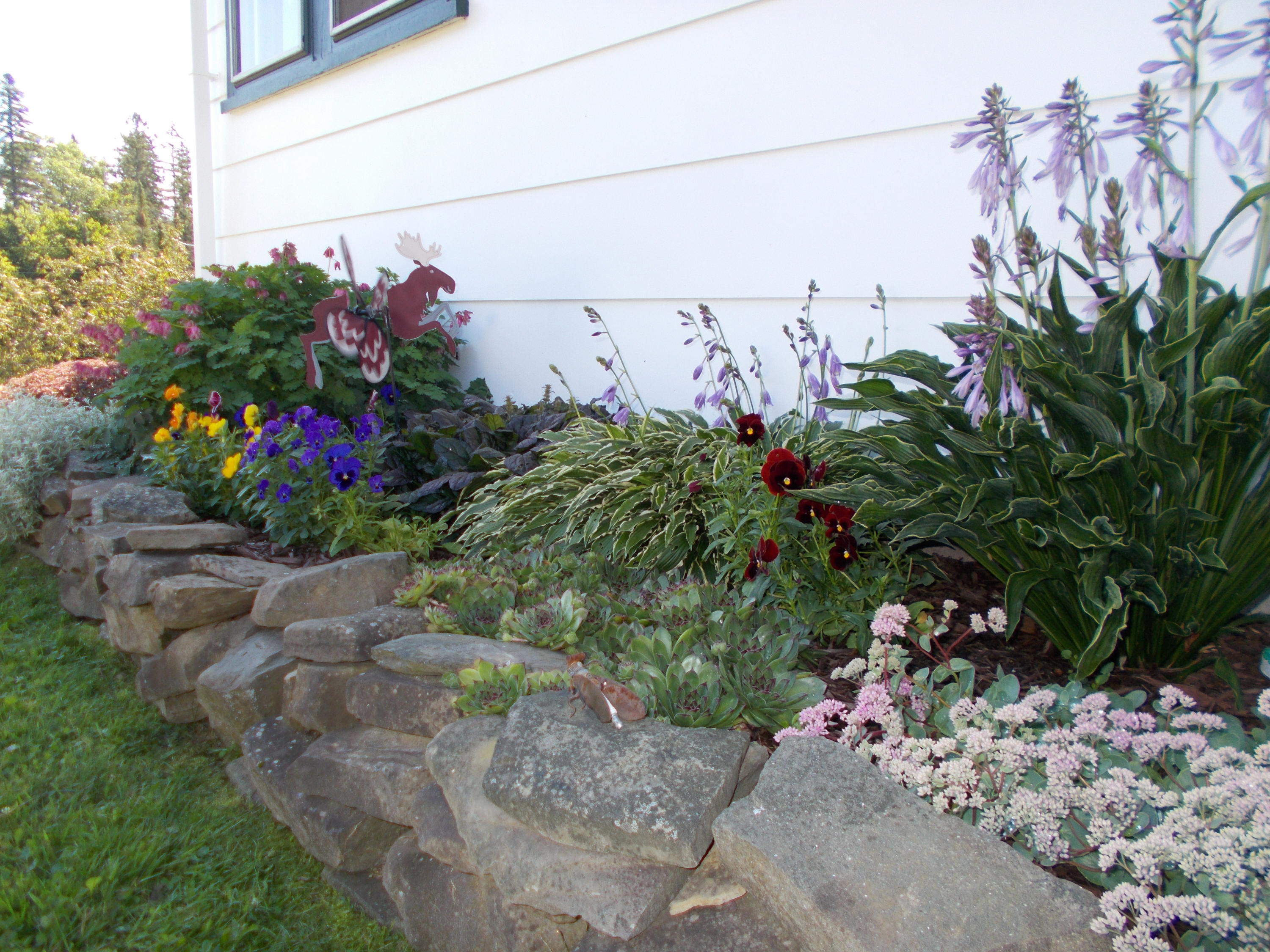 3575 West Chapman Road Mapleton, ME 04757 - Photo 20 of 55 DSCN8160