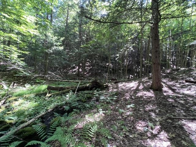 325 Quint Road Ryegate, VT 05069 - Photo 25 of 32 Gallery Image 25