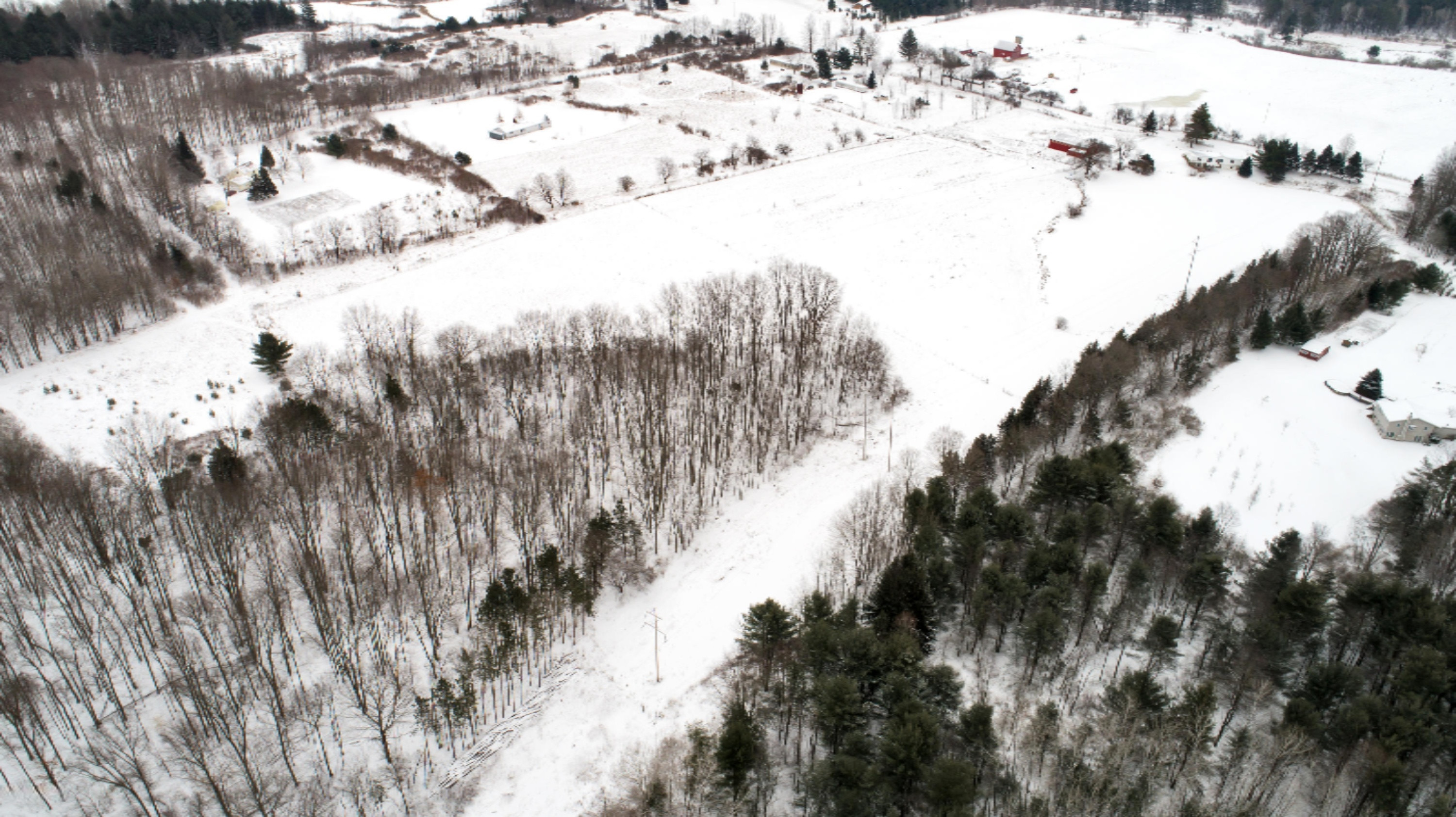 22152 20 Mile Road Paris, MI 49338 - Photo 13 of 67 DJI_0006