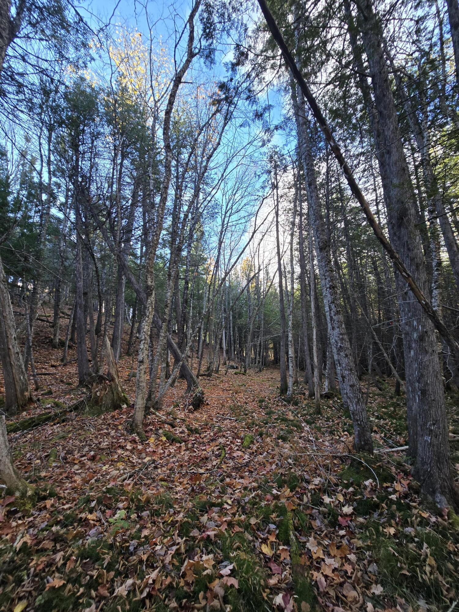 53 Back Road Abbot, ME 04406 - Photo 14 of 73 20251017_092247