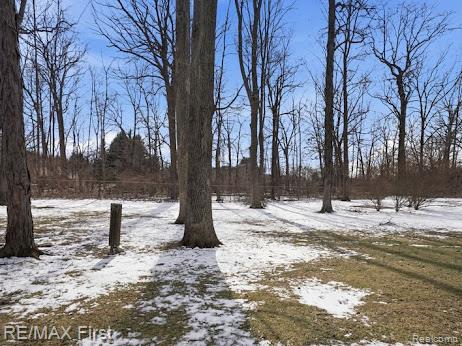 845 Langdon Court Rochester Hills, MI 48307 - Photo 6 of 37