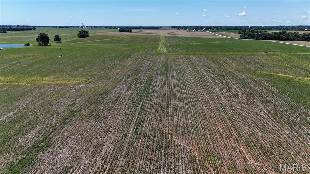 96.59 Acres Rock Road Bellflower, MO 63333 - Photo 9 of 21