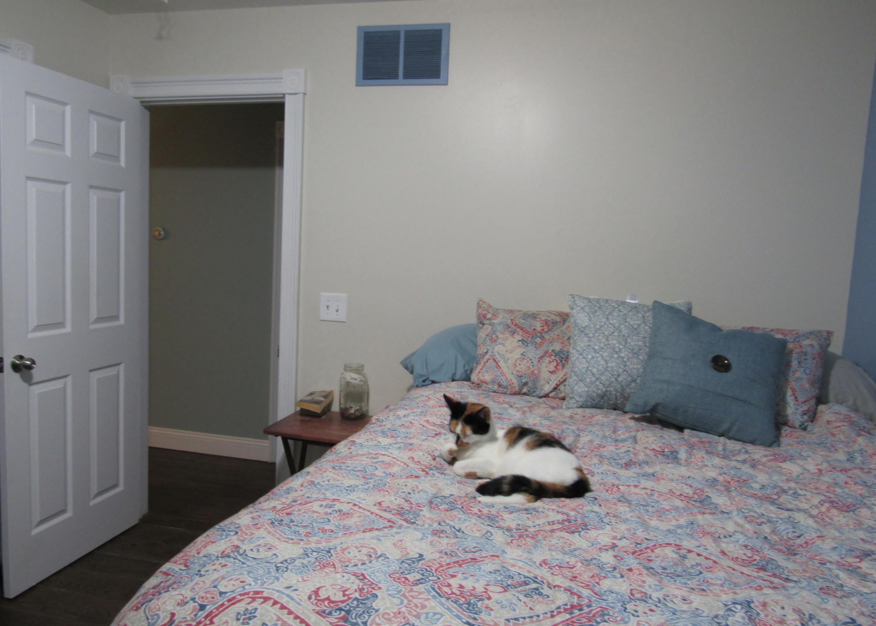 6340 Carey Road Cheboygan, MI 49721 - Photo 14 of 26 Gallery Image 14