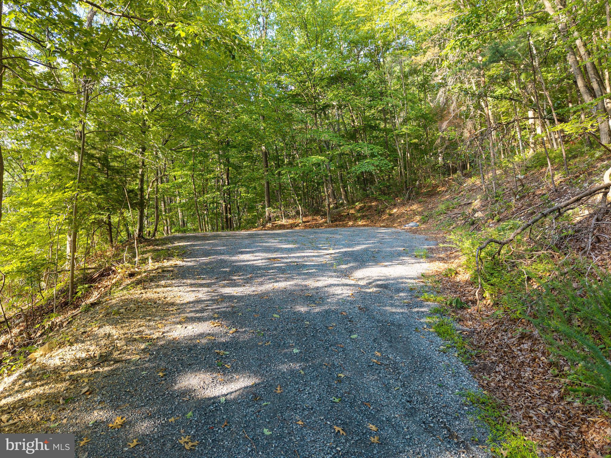Lot B54 Roundhead Mountain Road Stanley, VA 22851 - Photo 11 of 43 Gallery Image 11