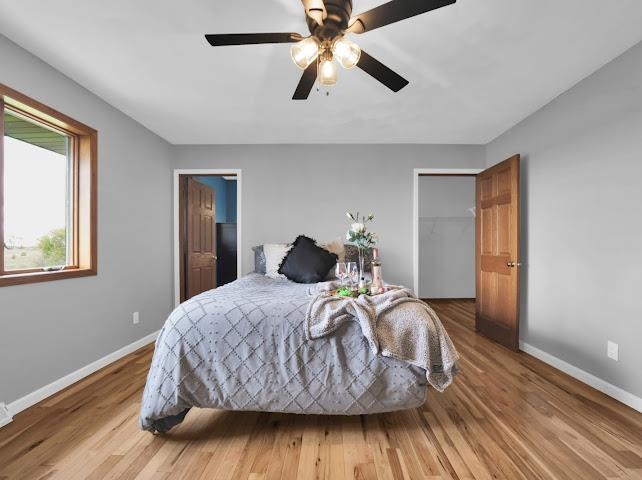 W5493 Center Monroe, WI 53566 - Photo 33 of 81