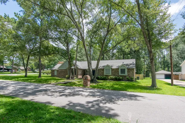 a view of a park with large trees and plants