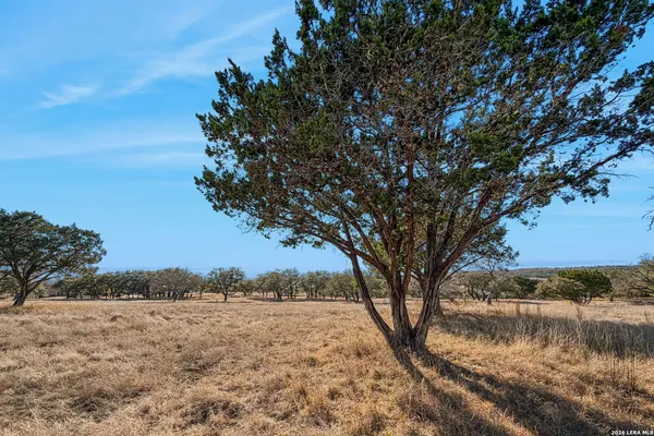 $2,298,900 | 521 Bluff Creek Road North, Center Point, TX 78010
