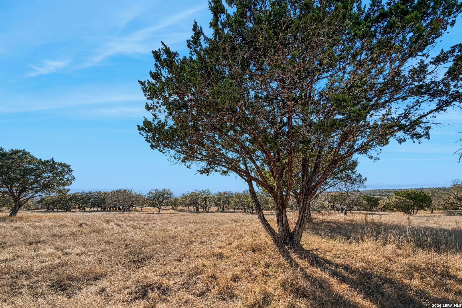 521 Bluff Creek Road North Center Point, TX 78010 - Photo 71 of 74