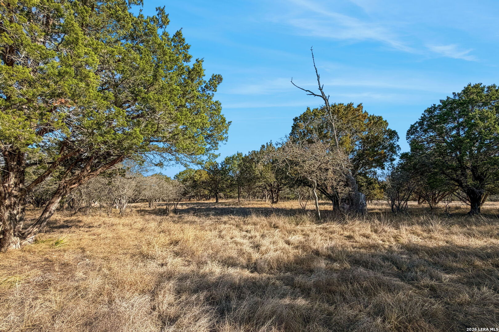521 Bluff Creek Road North Center Point, TX 78010 - Photo 72 of 74 a backyard of a house with lots of green space