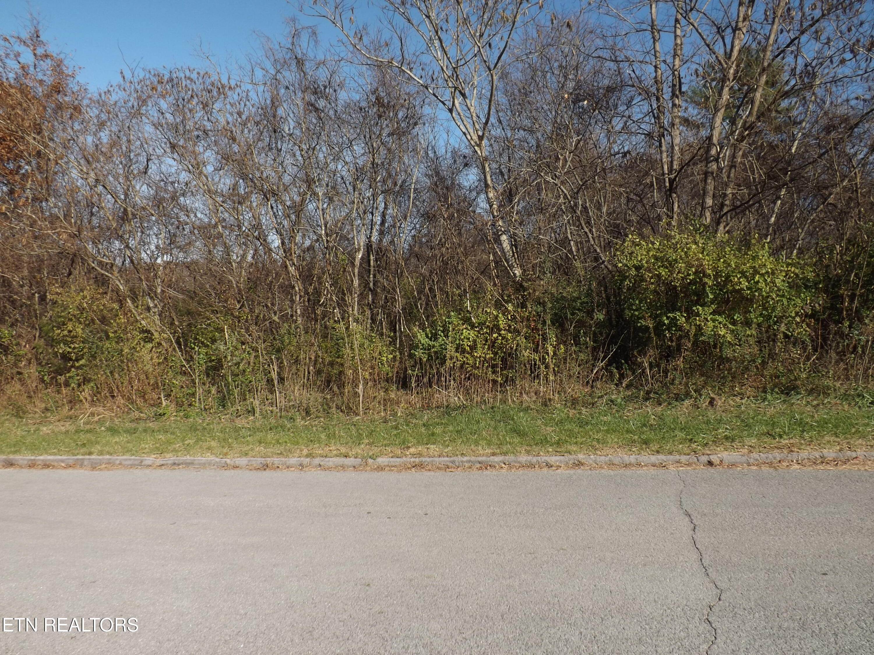 Tbd North Broad Street Tazewell, TN 37879 - Photo 6 of 10 DSCF3404