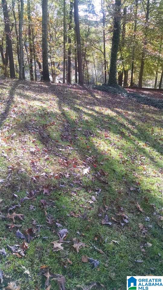 7085 Cavern Road Trussville, AL 35173 - Photo 5 of 8