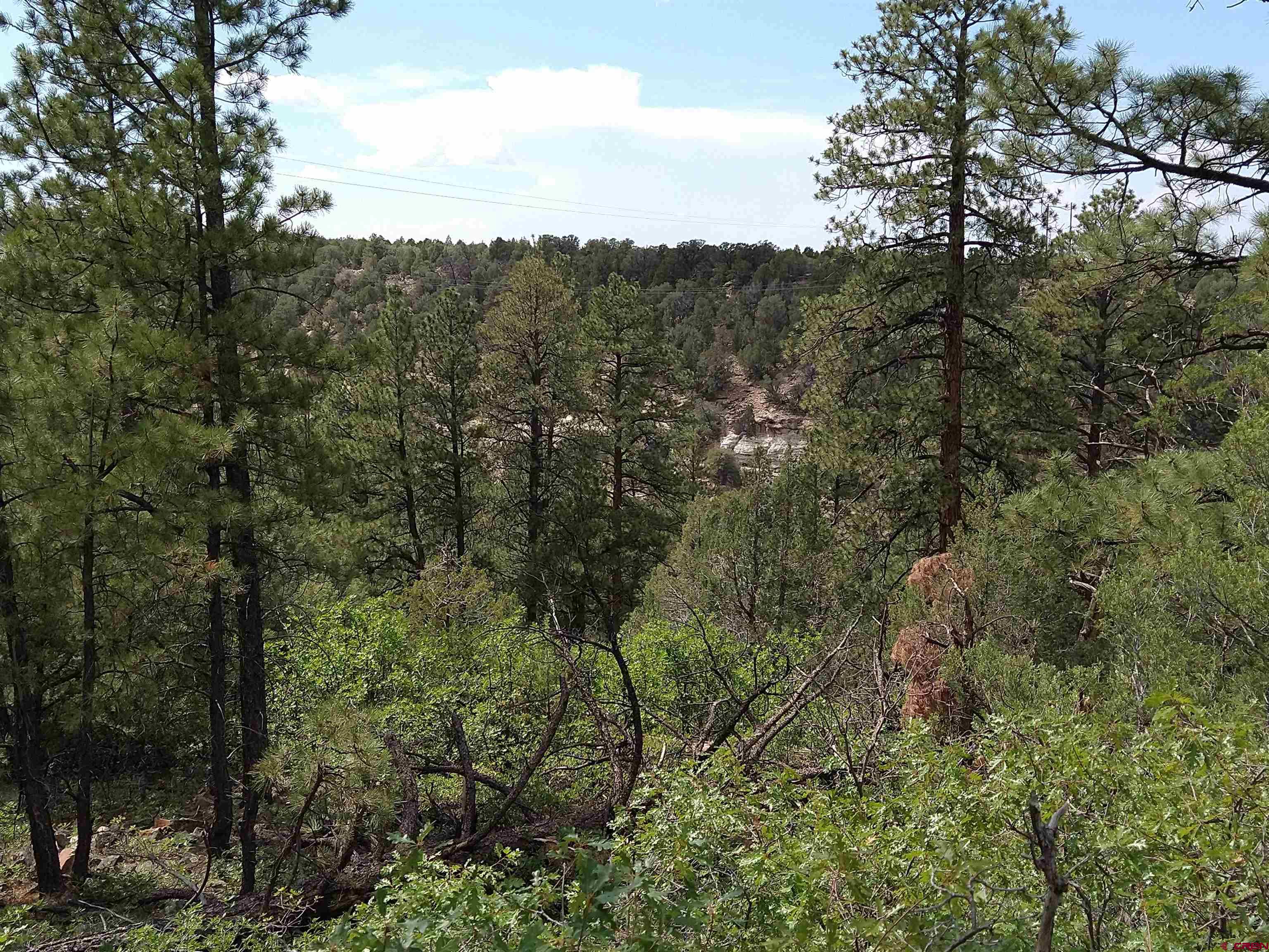 Tbd 44zs Road Norwood, CO 81423 - Photo 2 of 35 a view of a city with lush green forest