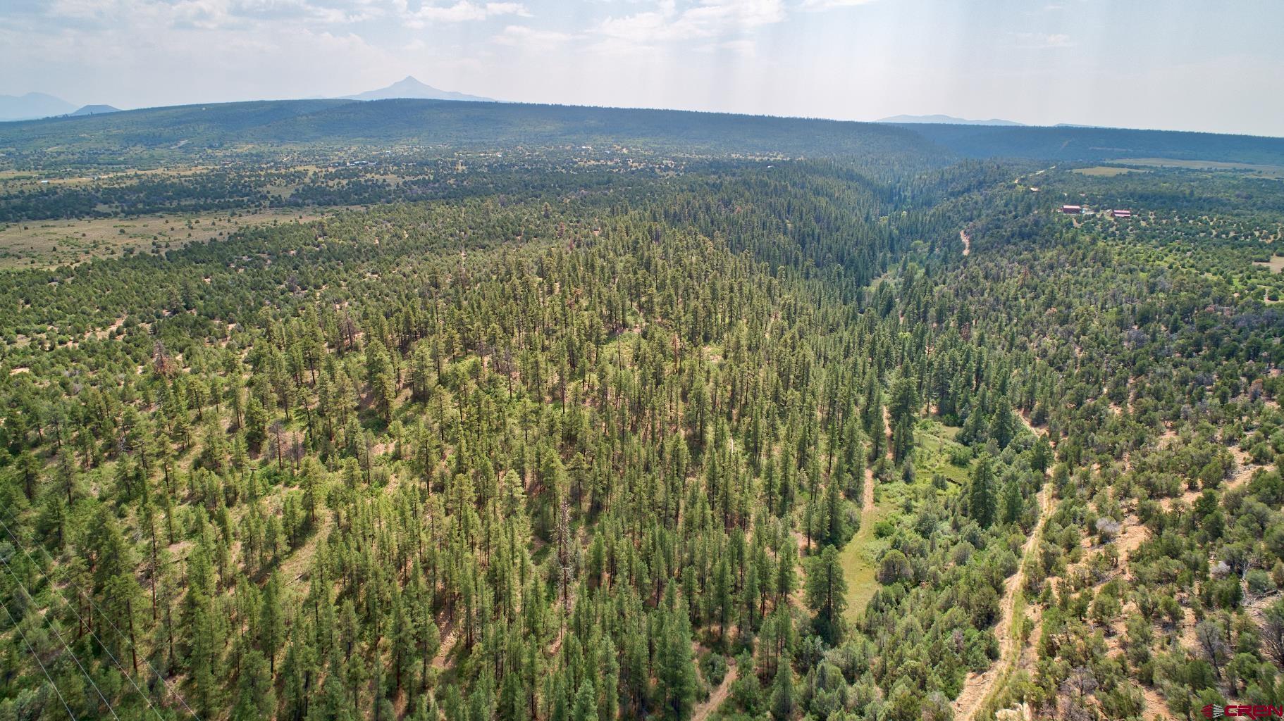 Tbd 44zs Road Norwood, CO 81423 - Photo 25 of 35 a view of a lush green hillside and a houses