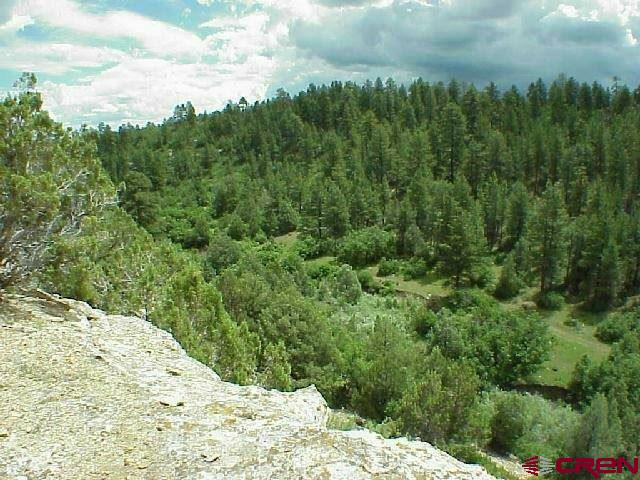 Tbd 44zs Road Norwood, CO 81423 - Photo 26 of 35 a view of a dry yard