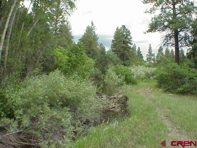 Tbd 44zs Road Norwood, CO 81423 - Photo 27 of 35 a view of a lush green forest