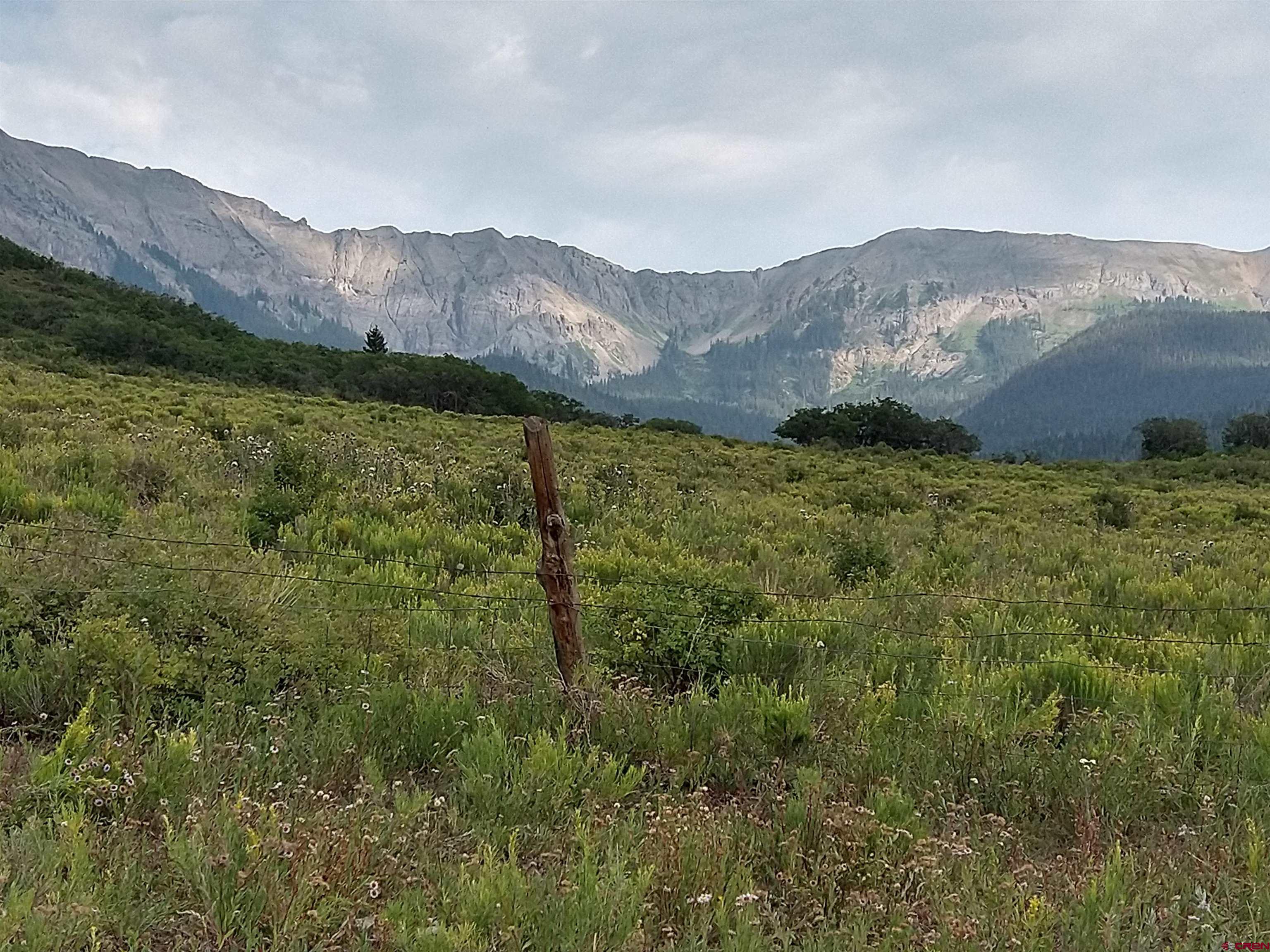 Tbd 44zs Road Norwood, CO 81423 - Photo 28 of 35 a view of a mountain range with lush green forest