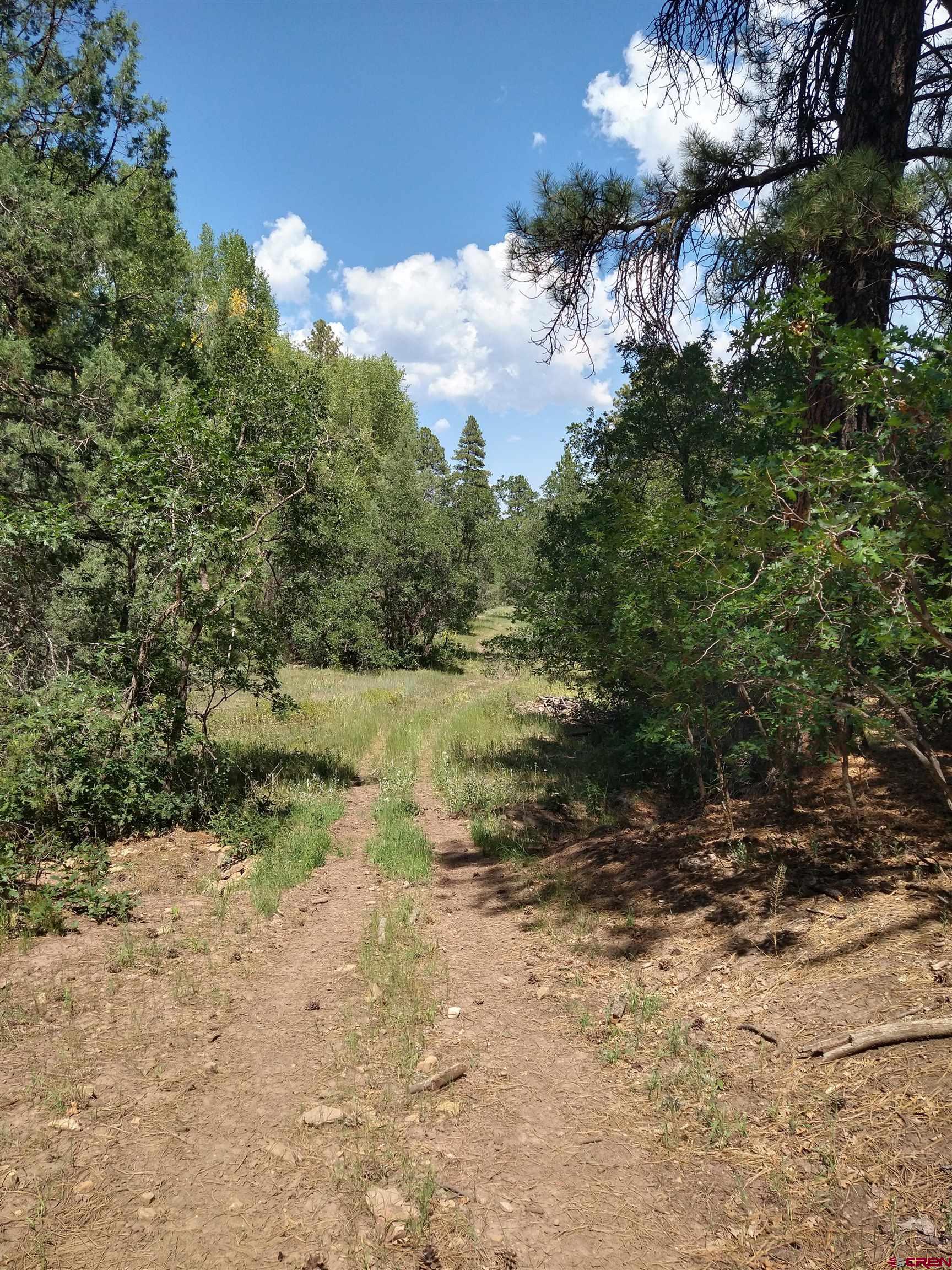 Tbd 44zs Road Norwood, CO 81423 - Photo 30 of 35 a view of a lake with lots of trees