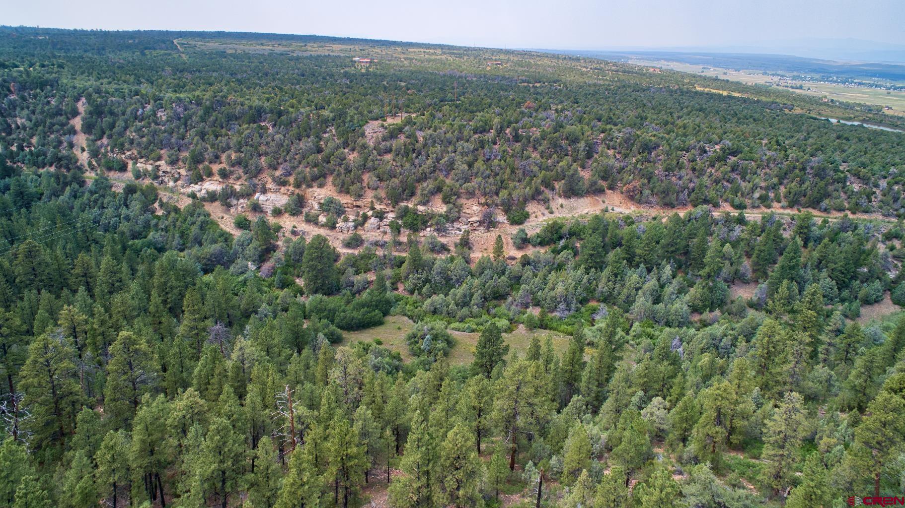 Tbd 44zs Road Norwood, CO 81423 - Photo 3 of 35 a view of a city with lush green forest