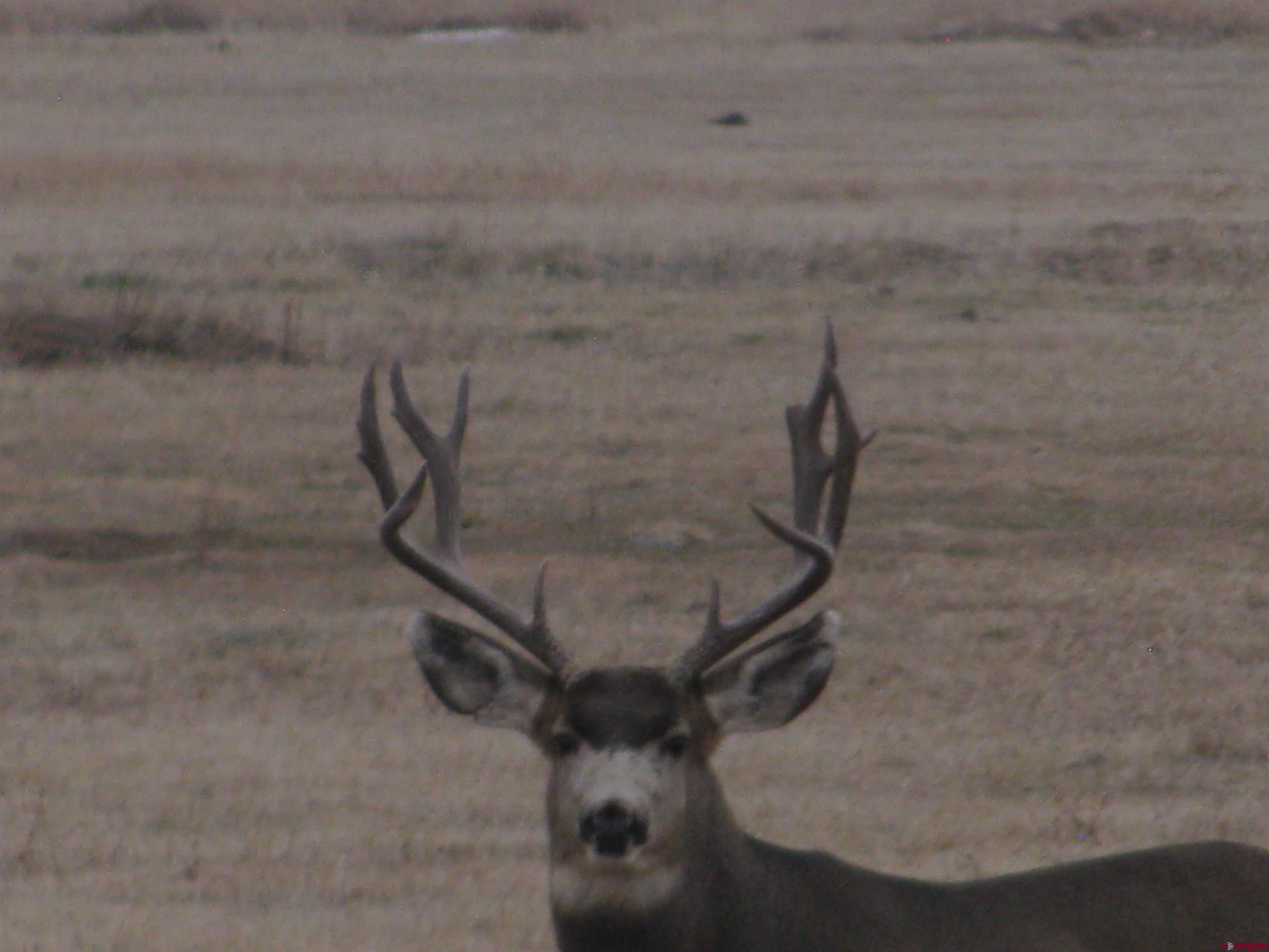 Tbd 44zs Road Norwood, CO 81423 - Photo 33 of 35