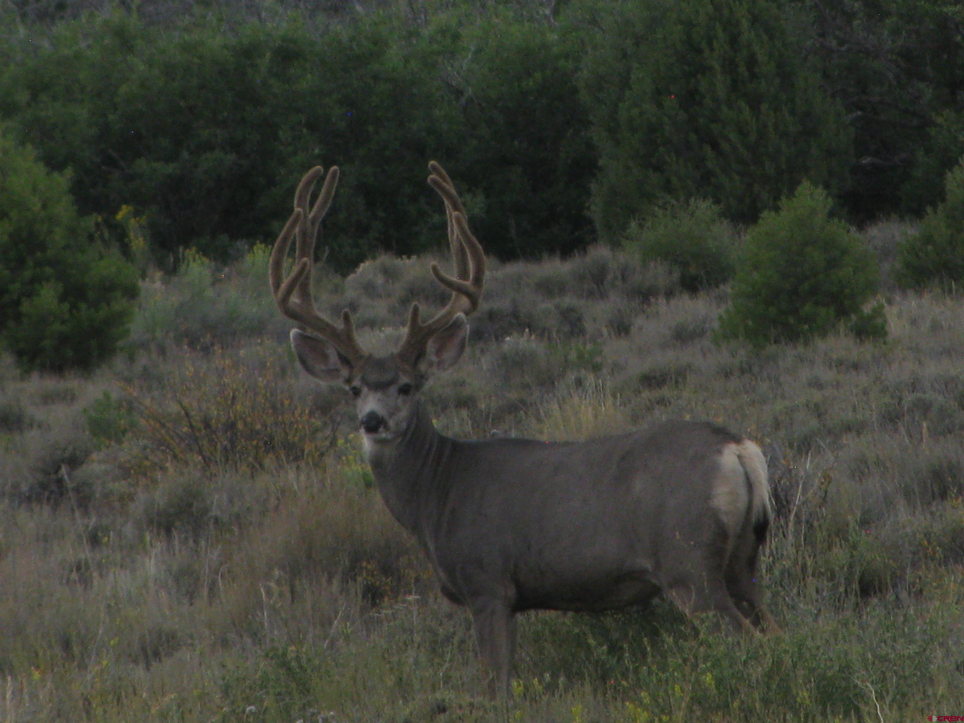 Tbd 44zs Road Norwood, CO 81423 - Photo 34 of 35
