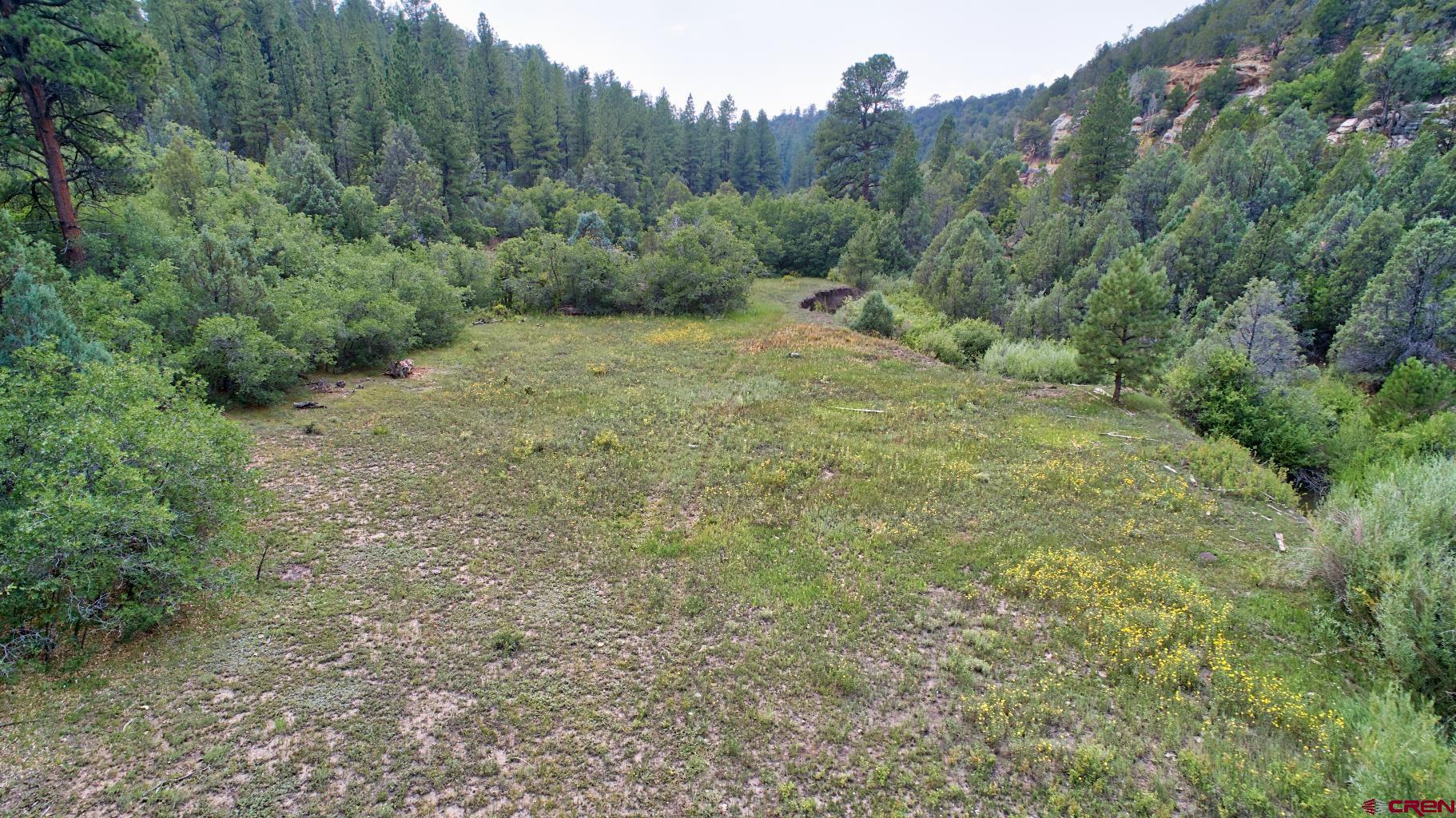 Tbd 44zs Road Norwood, CO 81423 - Photo 4 of 35 a big yard with lots of green space