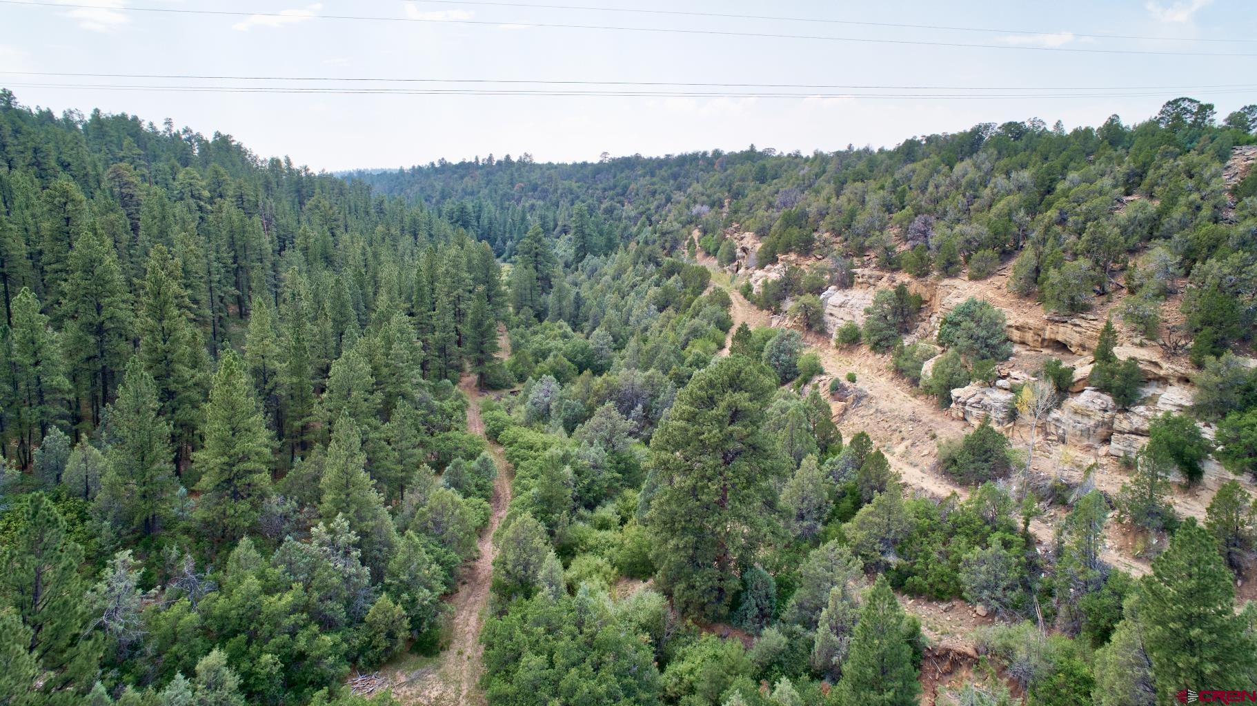 Tbd 44zs Road Norwood, CO 81423 - Photo 5 of 35 a view of a green field with lots of trees