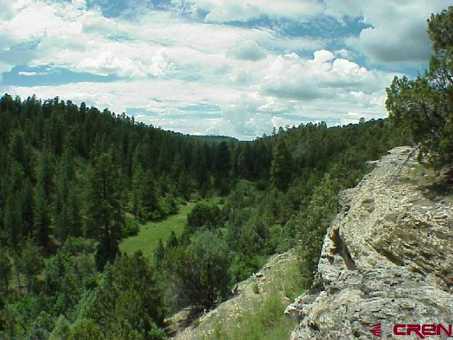 Tbd 44zs Road Norwood, CO 81423 - Photo 7 of 35 a view of a lake with a yard