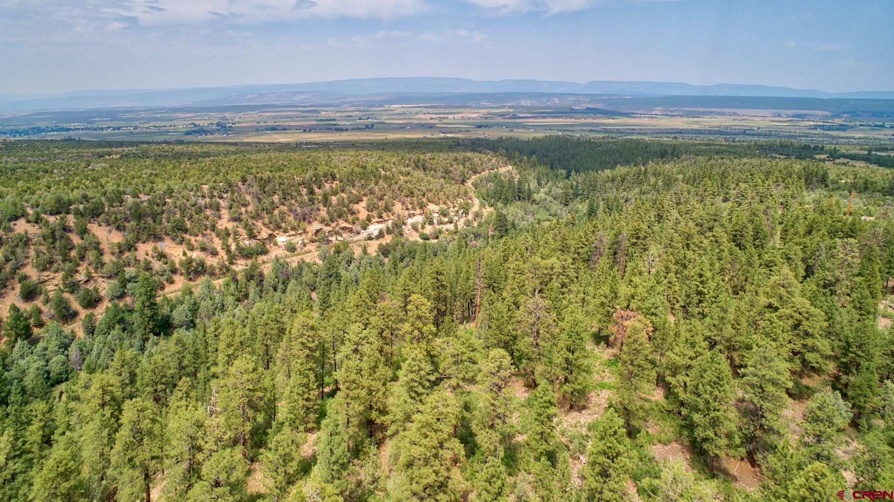 Tbd 44zs Road Norwood, CO 81423 - Photo 8 of 35