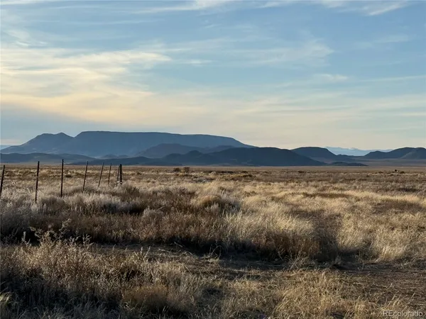 a view of a town with big trees
