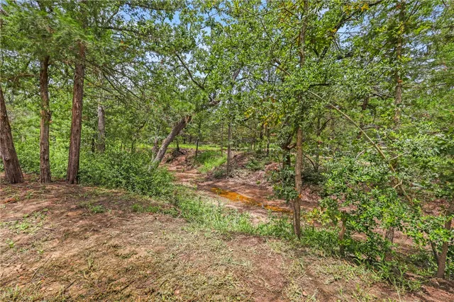 a backyard of a house with lots of green space