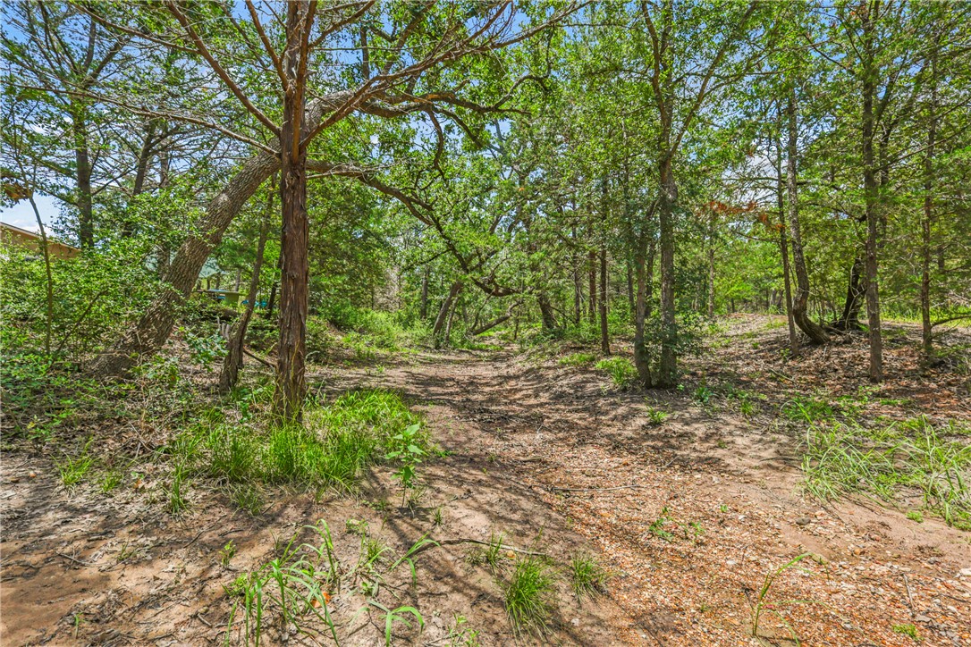 735 Boysenberry Road Somerville, TX 77879 - Photo 21 of 27 a view of backyard with green space