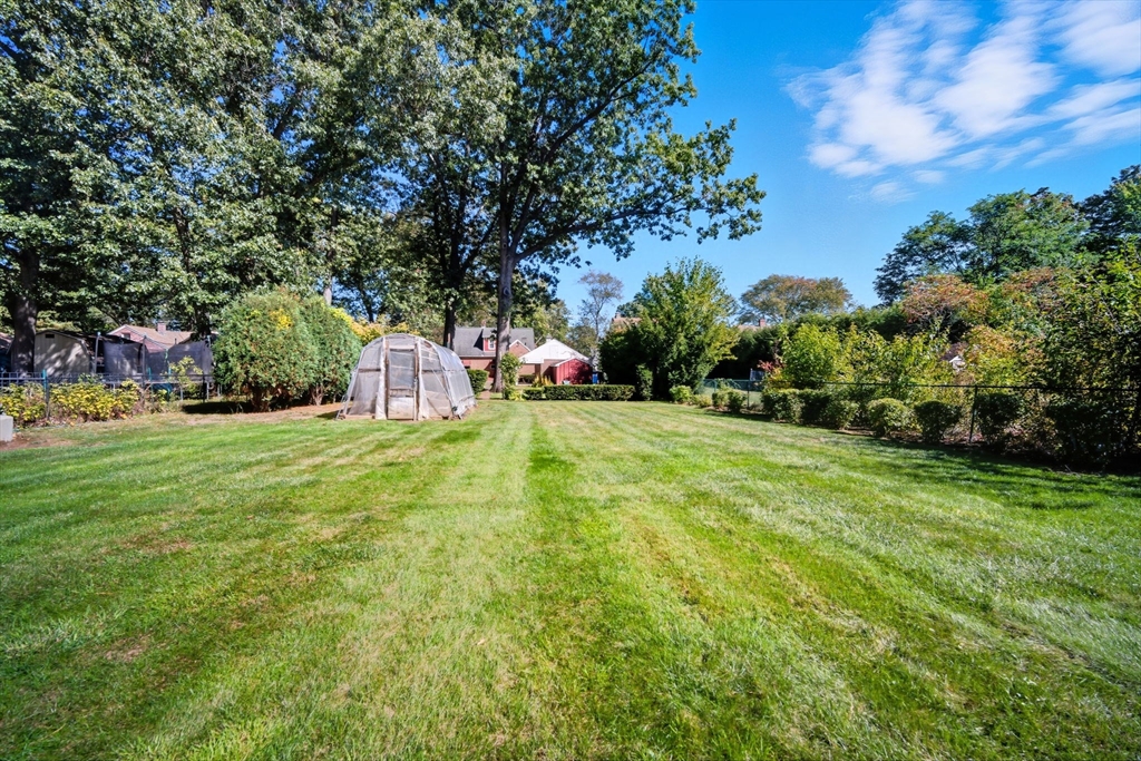 43 Greenleaf Avenue West Springfield, MA 01089 - Photo 35 of 37 a view of a garden with a tree