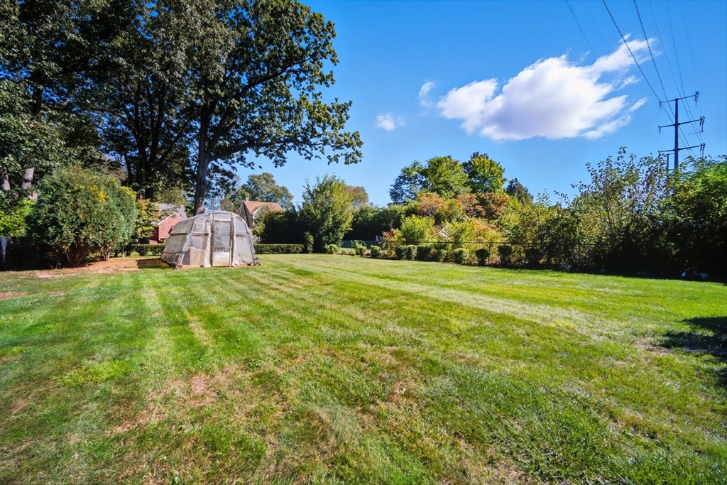 43 Greenleaf Avenue West Springfield, MA 01089 - Photo 36 of 37 a view of a garden with a fountain