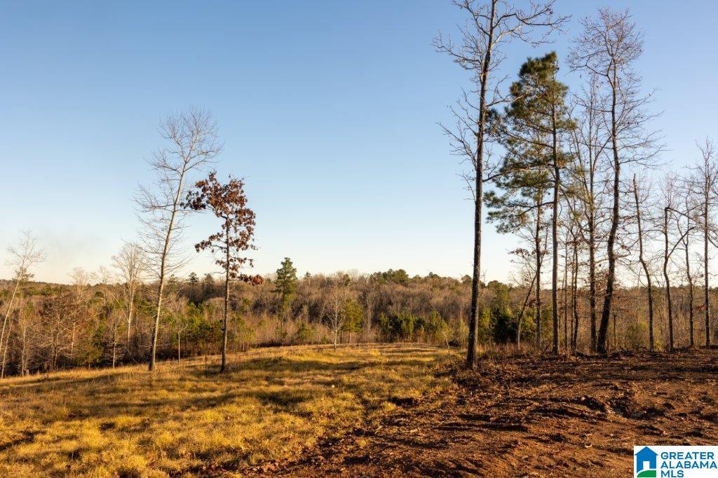 2936 County Road 29 Heflin, AL 36264 - Photo 5 of 5