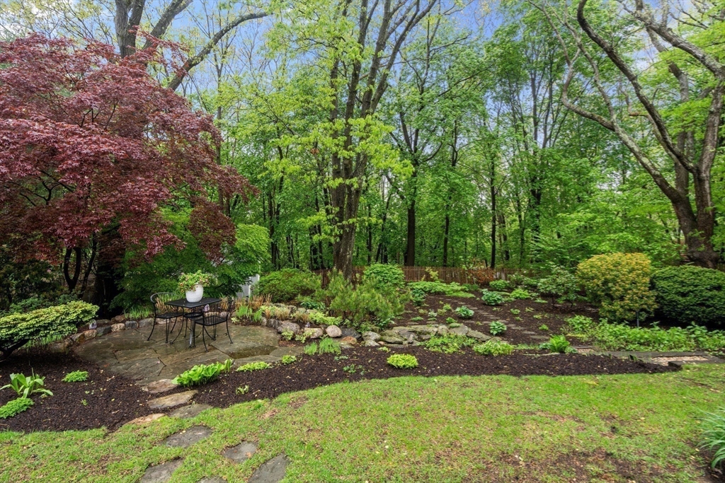 33 Manchester Road Newton, MA 02461 - Photo 28 of 31 a view of yard with green space