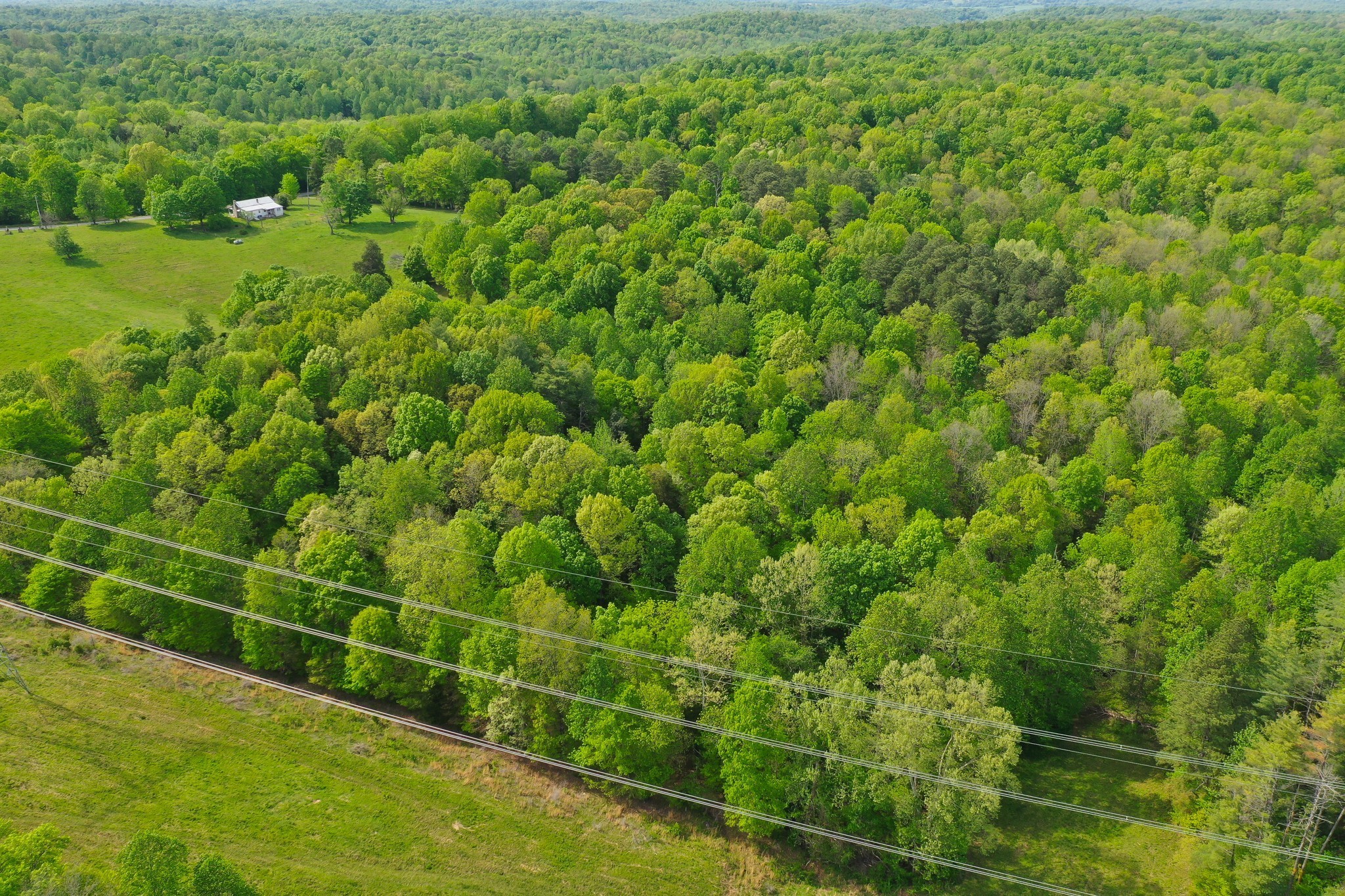 3915 Oak Ridge Road Palmyra, TN 37142 - Photo 31 of 61