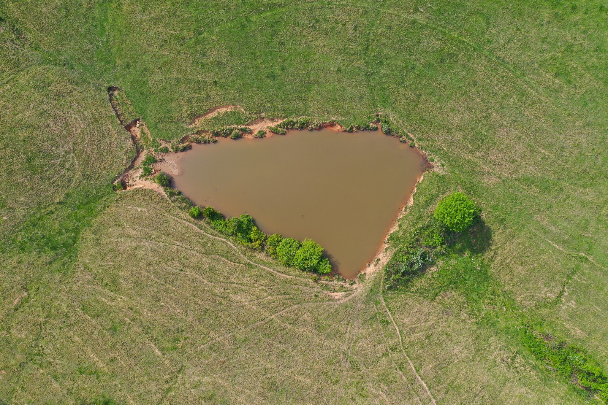 3915 Oak Ridge Road Palmyra, TN 37142 - Photo 38 of 61