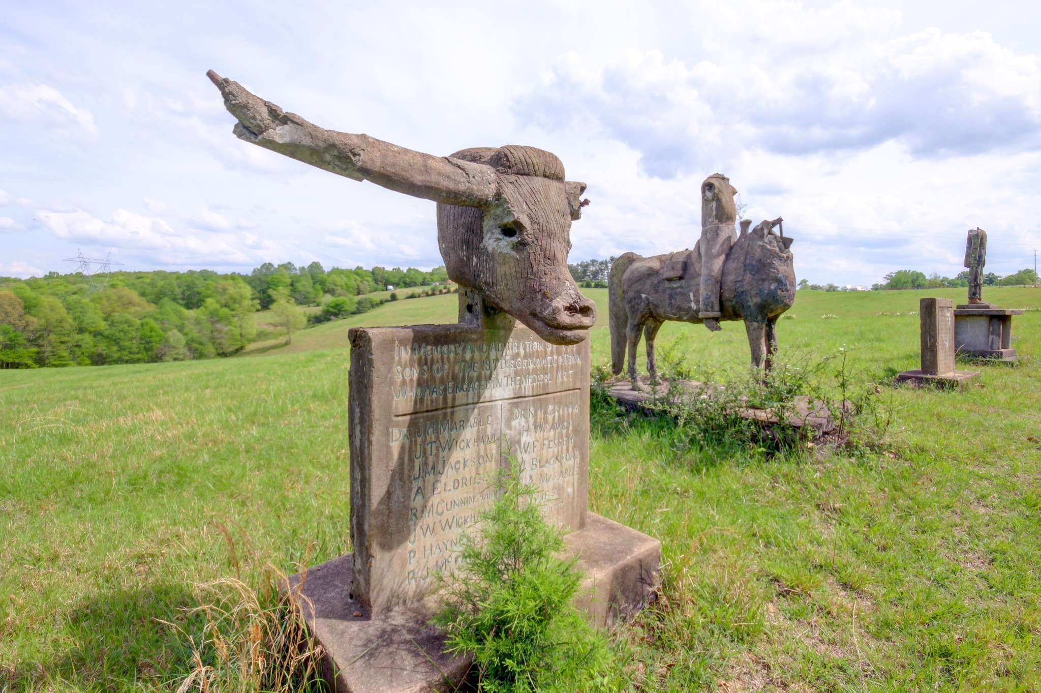 3915 Oak Ridge Road Palmyra, TN 37142 - Photo 10 of 61