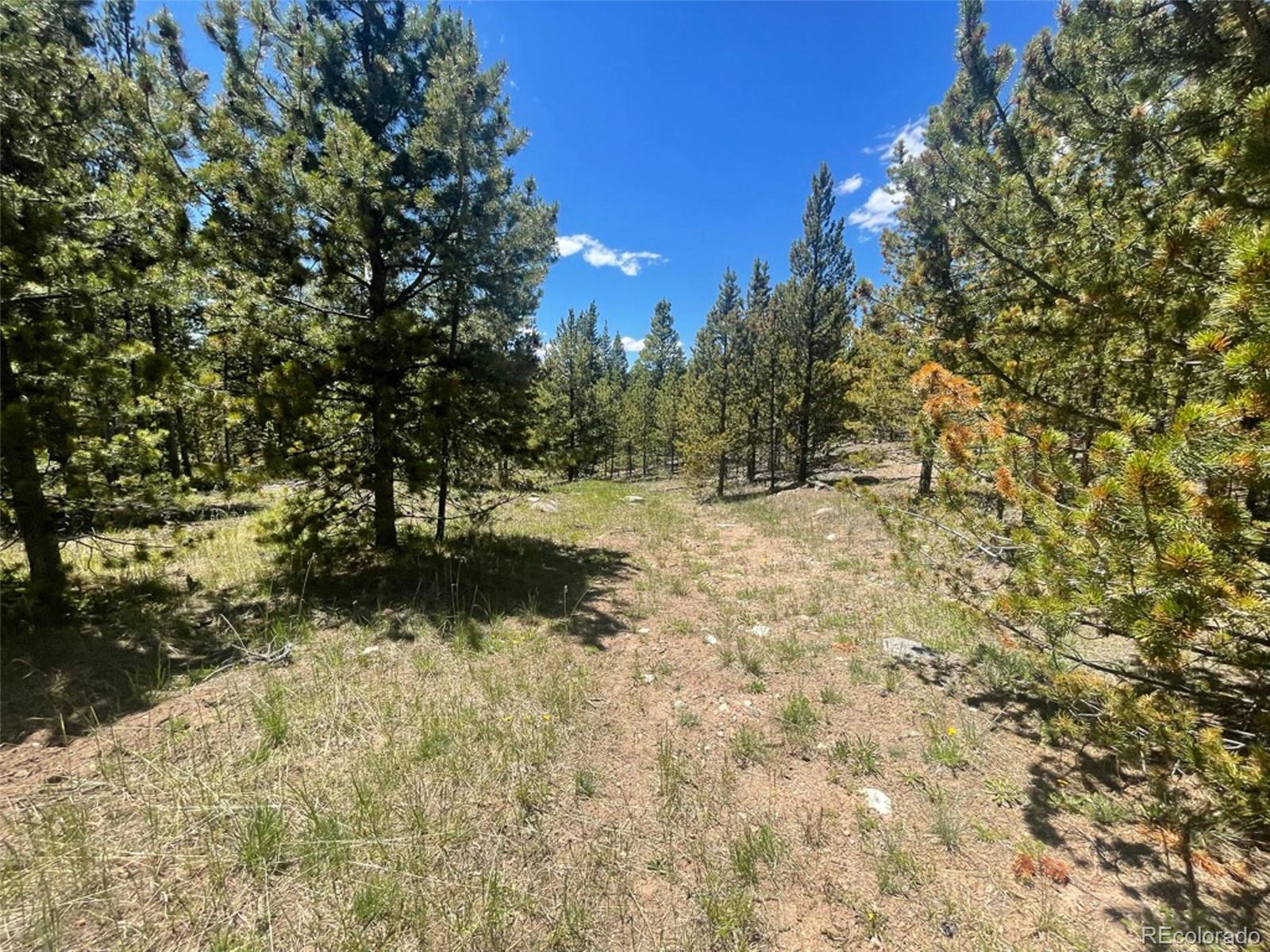 1503 Cornucopia Leadville, CO 80461 - Photo 1 of 27 a view of yard covered with green space