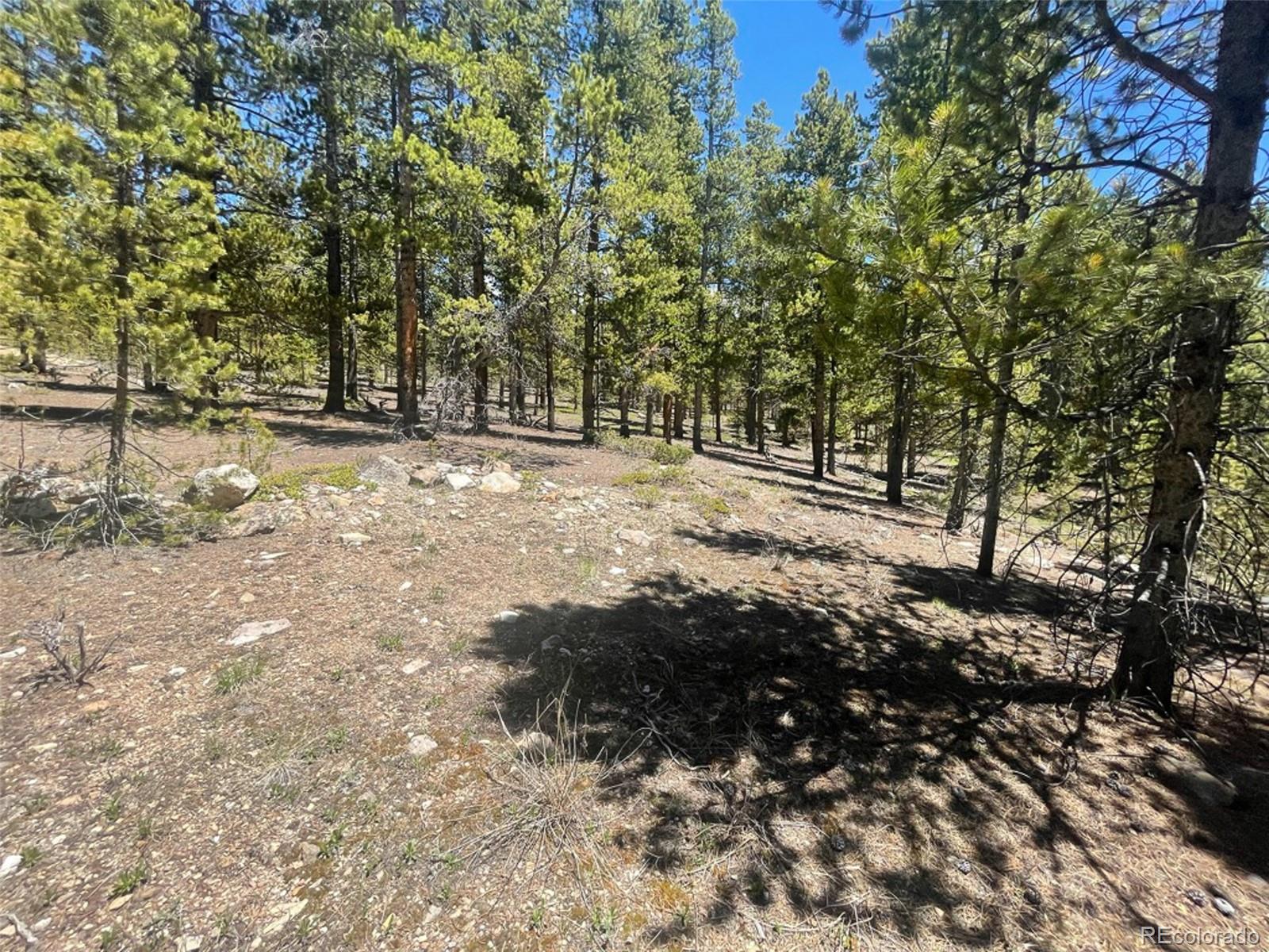 1503 Cornucopia Leadville, CO 80461 - Photo 11 of 27 a view of dirt yard with a tree