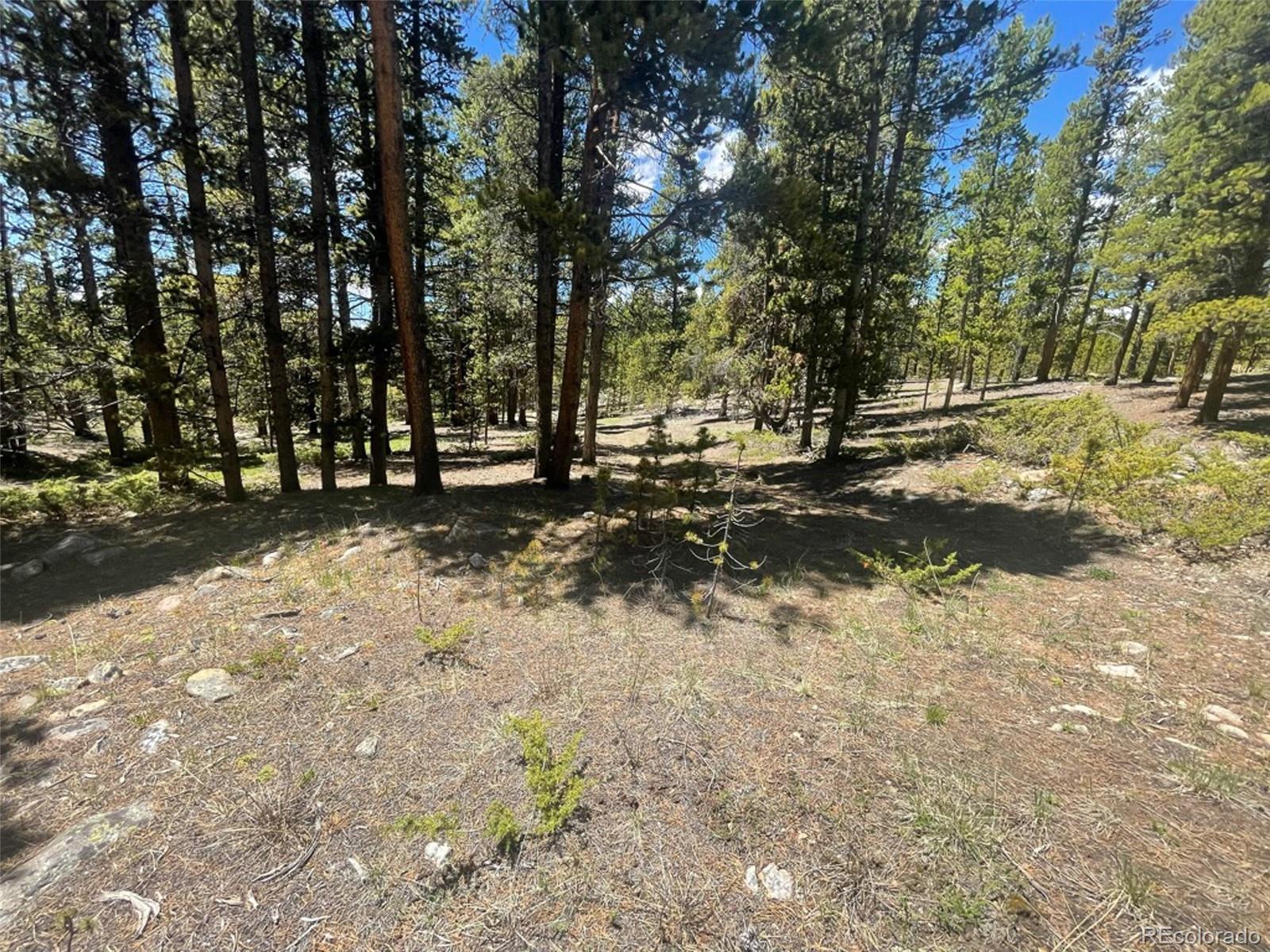 1503 Cornucopia Leadville, CO 80461 - Photo 12 of 27 a view of a yard with trees