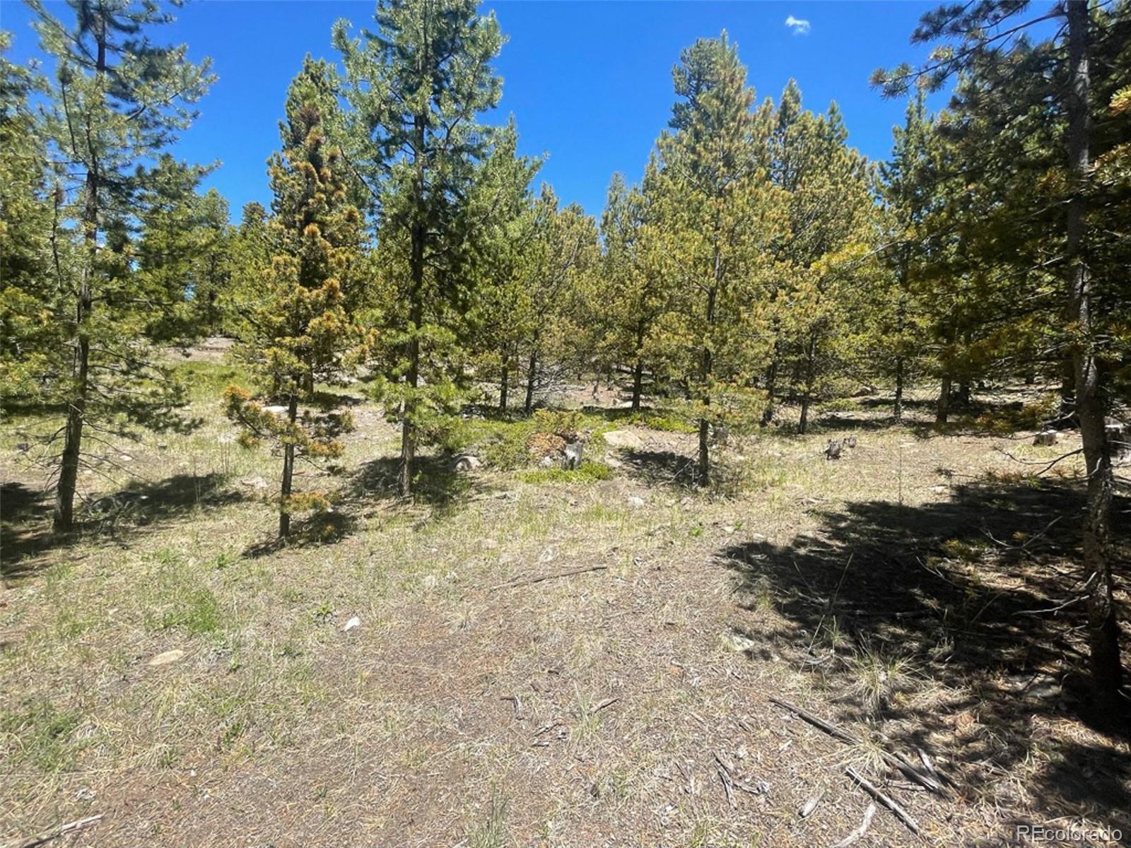 1503 Cornucopia Leadville, CO 80461 - Photo 13 of 27 a view of outdoor space with trees all around