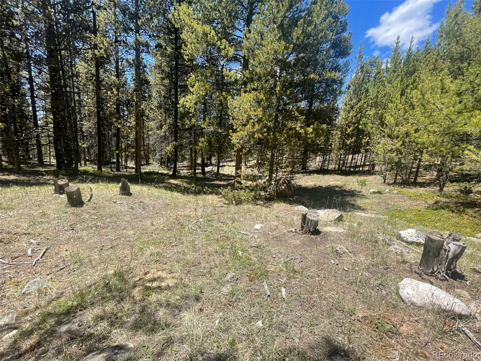 1503 Cornucopia Leadville, CO 80461 - Photo 14 of 27 a backyard of a house with lots of green space