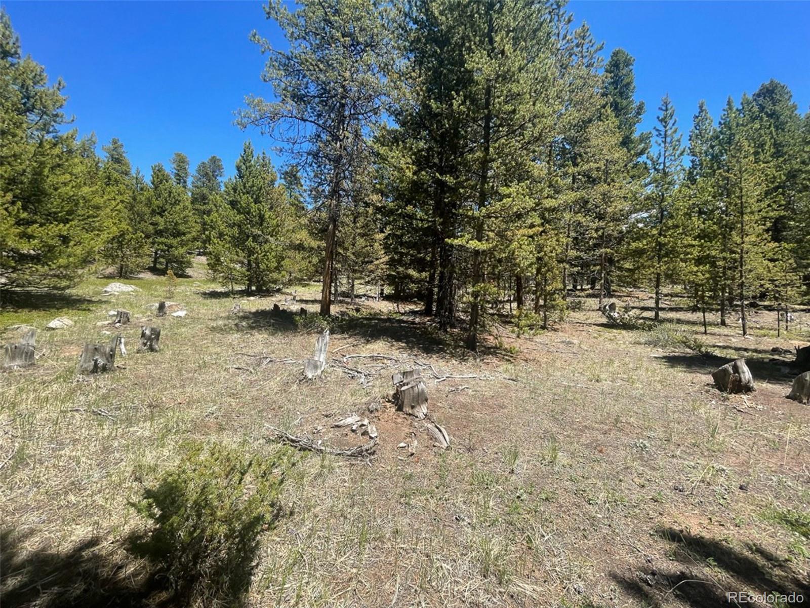 1503 Cornucopia Leadville, CO 80461 - Photo 16 of 27 a view of outdoor space with trees