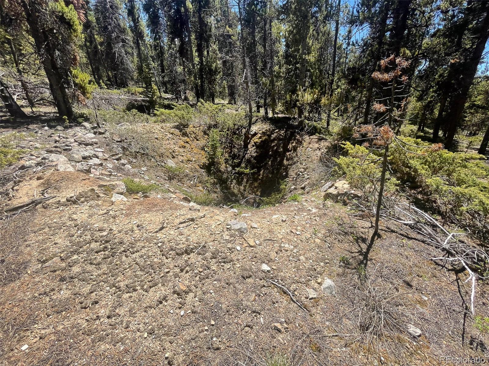 1503 Cornucopia Leadville, CO 80461 - Photo 17 of 27 a view of covered with trees
