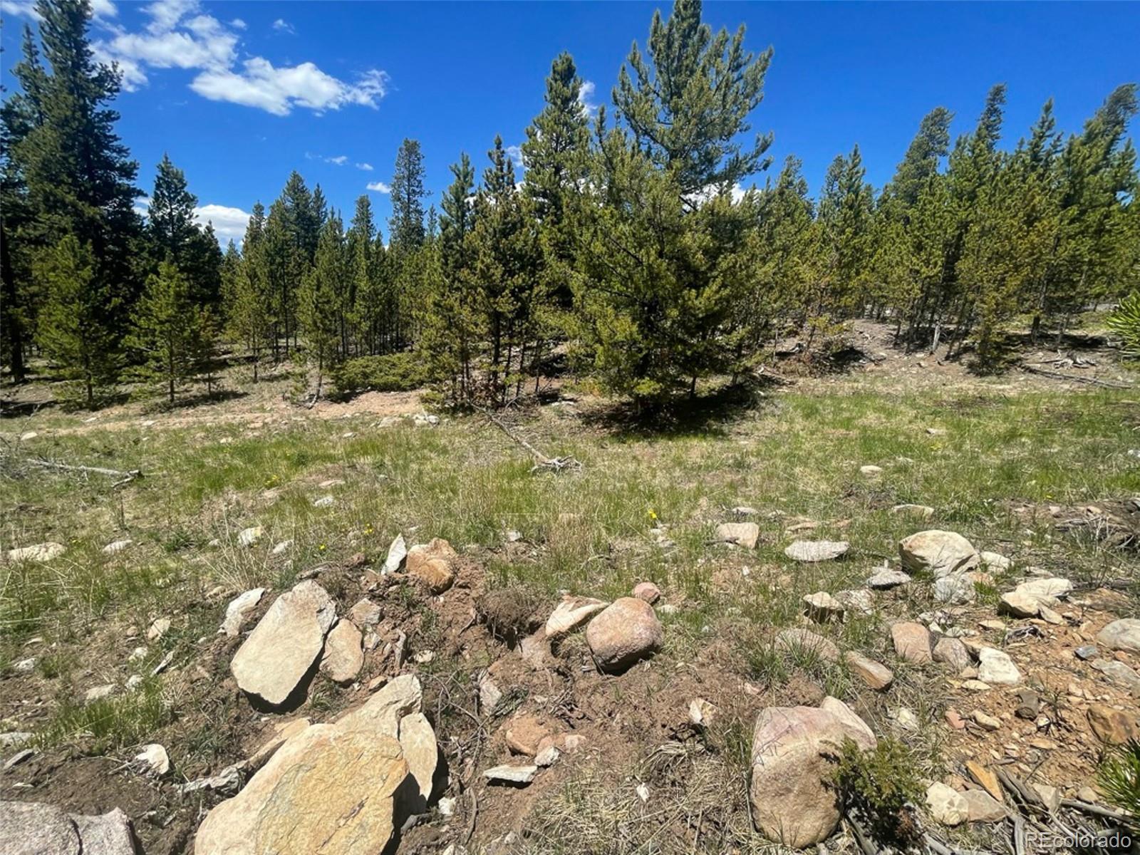 1503 Cornucopia Leadville, CO 80461 - Photo 18 of 27 a view of an outdoor space